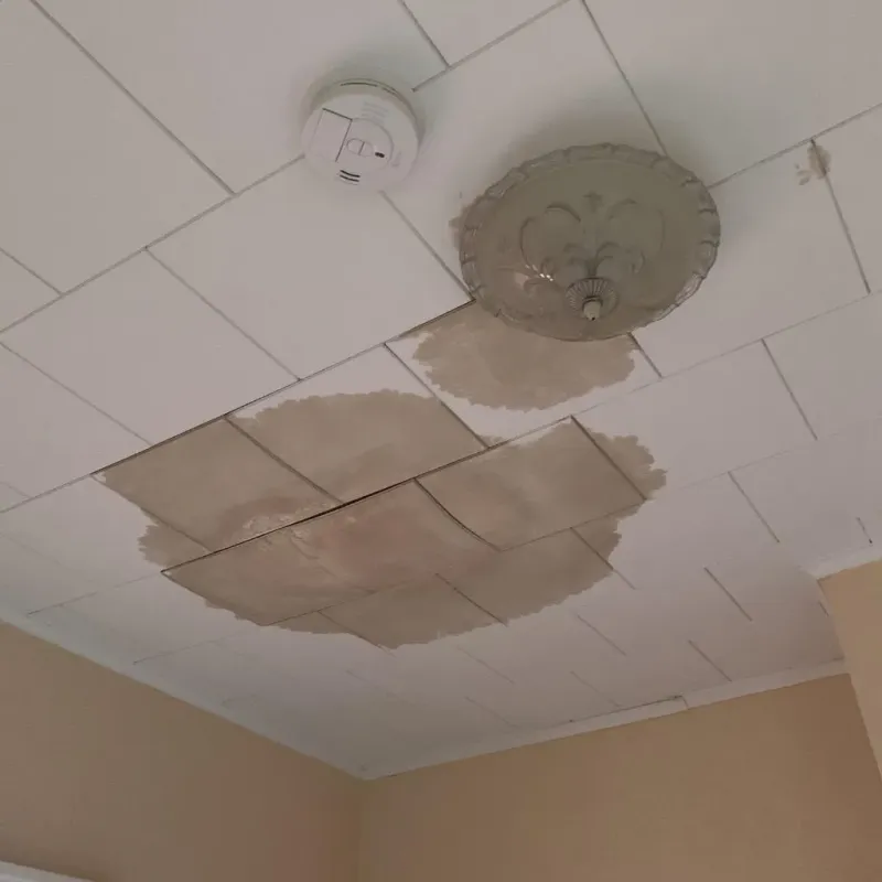 Ceiling Water Damage Repair in Saint Croix Falls, WI