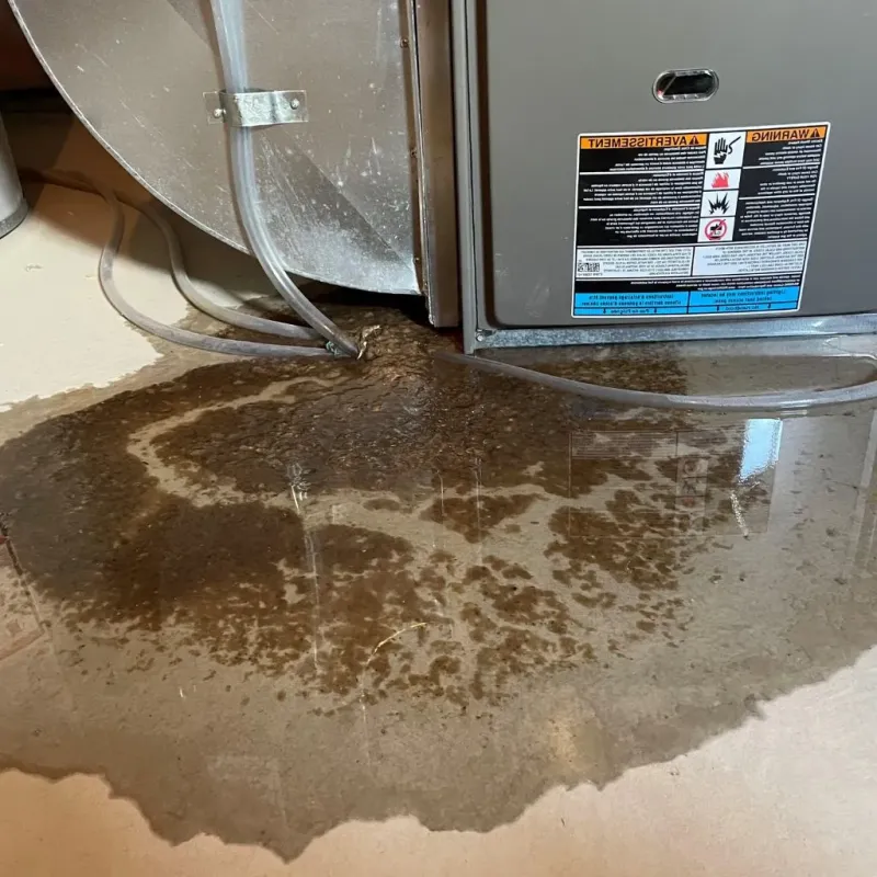 Pipe Burst and Leak Restoration in Saint Croix Falls, WI
